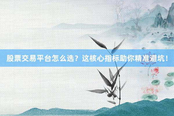 股票交易平台怎么选？这核心指标助你精准避坑！