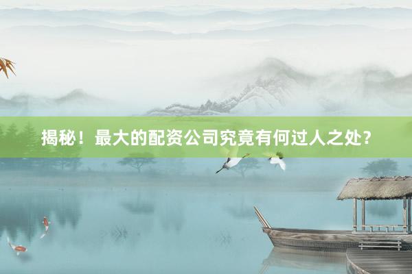 揭秘！最大的配资公司究竟有何过人之处？