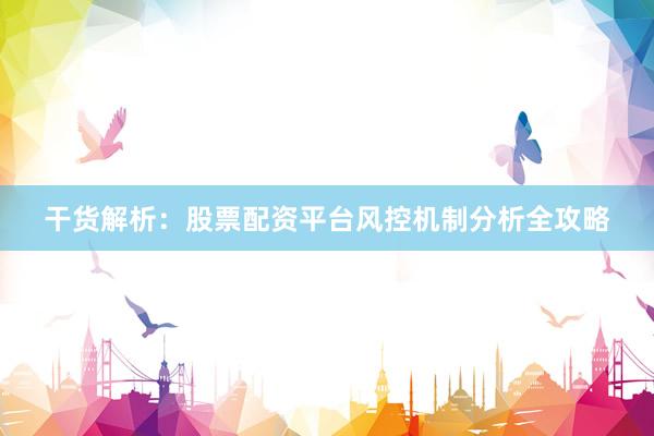 干货解析：股票配资平台风控机制分析全攻略