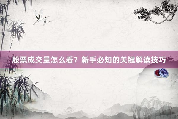 股票成交量怎么看？新手必知的关键解读技巧