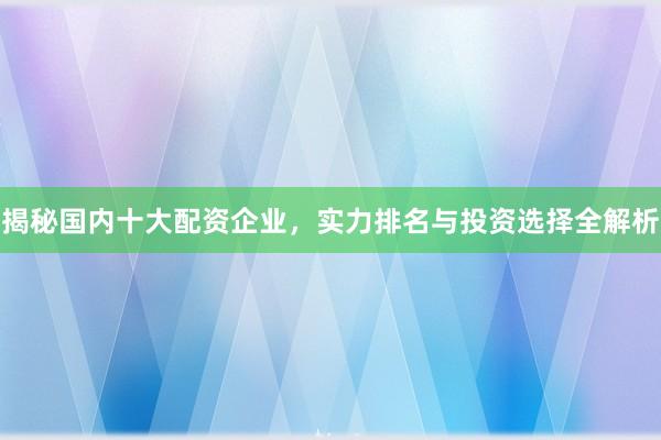 揭秘国内十大配资企业，实力排名与投资选择全解析