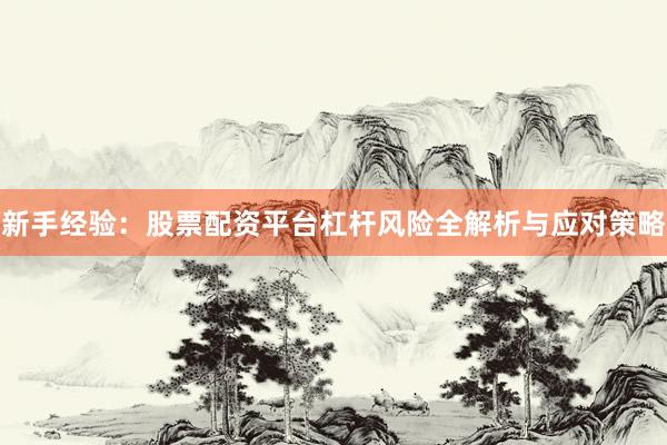 新手经验：股票配资平台杠杆风险全解析与应对策略