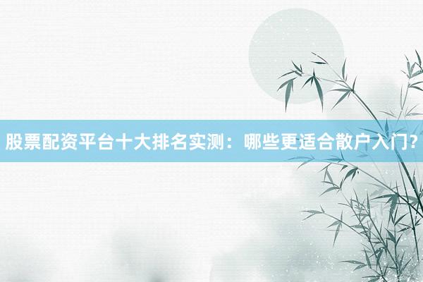 股票配资平台十大排名实测：哪些更适合散户入门？