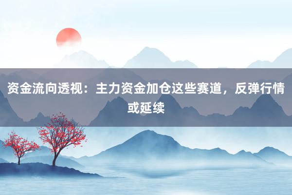 资金流向透视：主力资金加仓这些赛道，反弹行情或延续