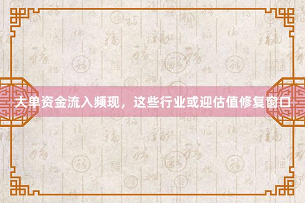 大单资金流入频现,这些行业或迎估值修复窗口