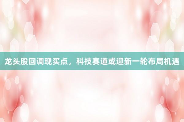 龙头股回调现买点，科技赛道或迎新一轮布局机遇