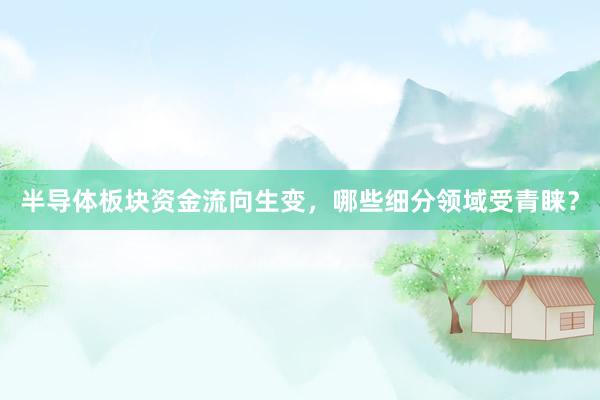 半导体板块资金流向生变，哪些细分领域受青睐？