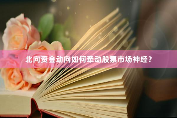 北向资金动向如何牵动股票市场神经？