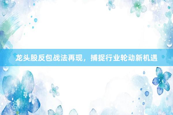 龙头股反包战法再现，捕捉行业轮动新机遇