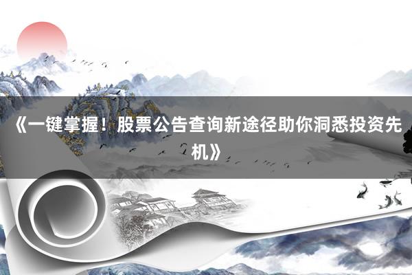 《一键掌握！股票公告查询新途径助你洞悉投资先机》