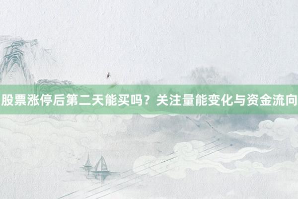 股票涨停后第二天能买吗？关注量能变化与资金流向