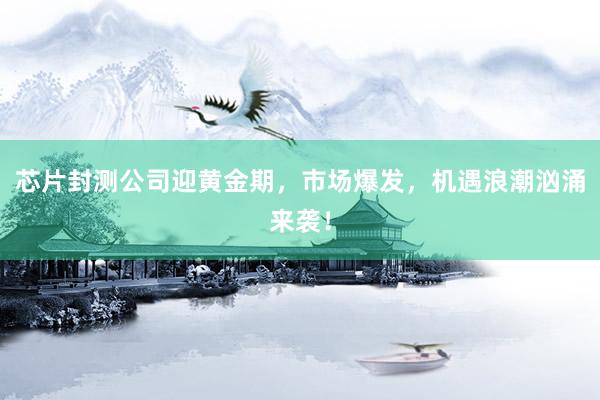 芯片封测公司迎黄金期，市场爆发，机遇浪潮汹涌来袭！