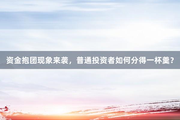 资金抱团现象来袭，普通投资者如何分得一杯羹？