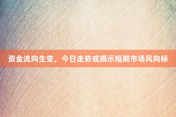 资金流向生变，今日走势或揭示短期市场风向标