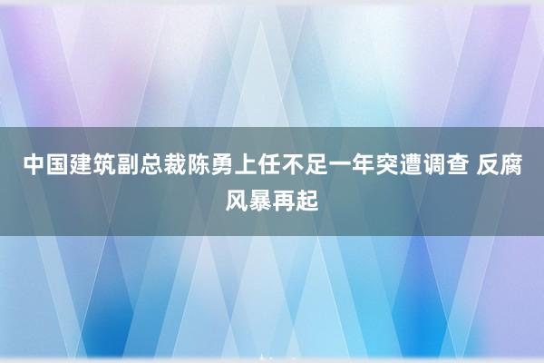 中国建筑副总裁陈勇上任不足一年突遭调查 反腐风暴再起