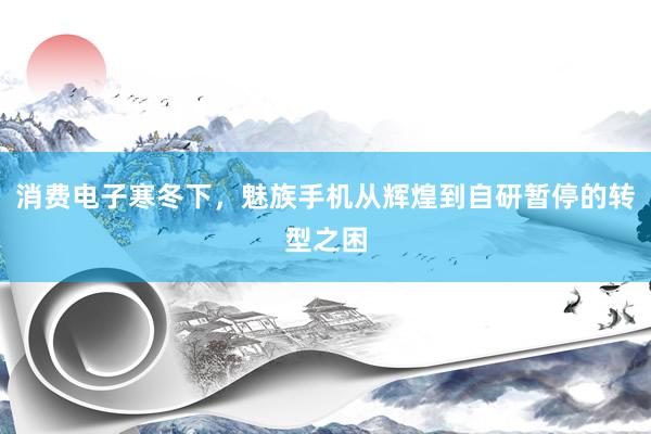消费电子寒冬下，魅族手机从辉煌到自研暂停的转型之困