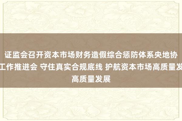证监会召开资本市场财务造假综合惩防体系央地协同工作推进会 守住真实合规底线 护航资本市场高质量发展