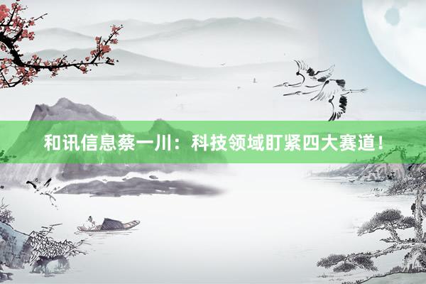 和讯信息蔡一川:科技领域盯紧四大赛道!